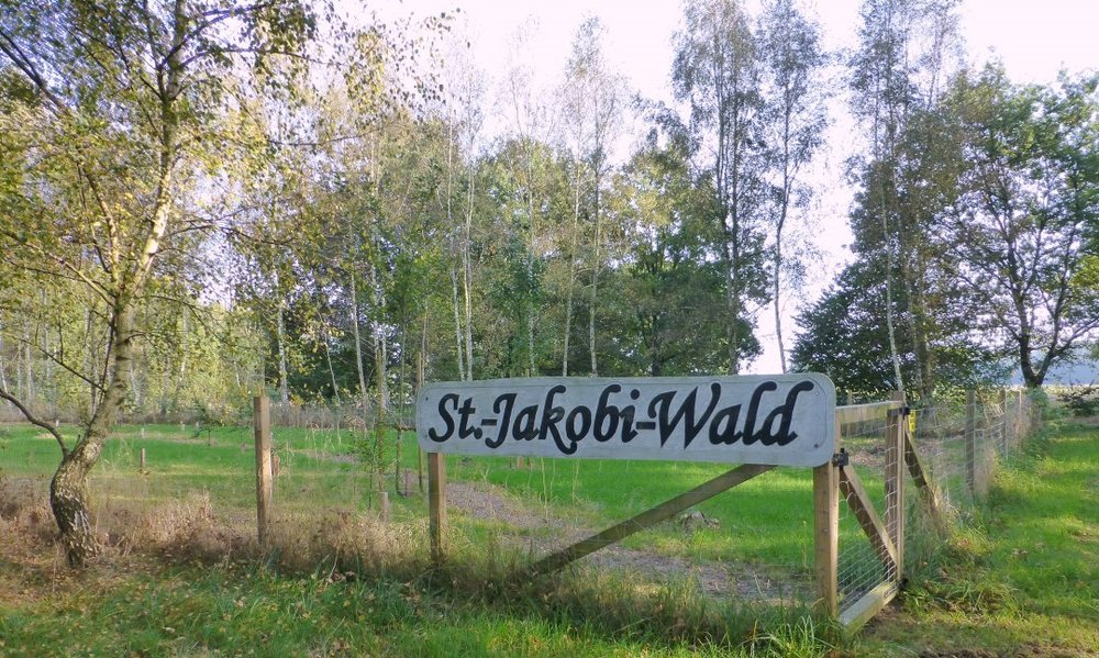 Jakobiwald klein.jpg