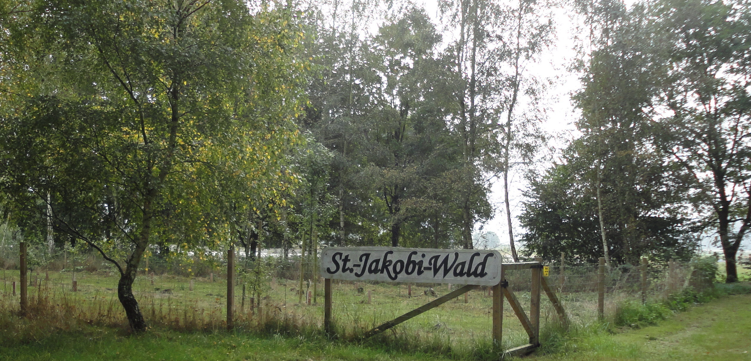St.-Jakobi-Wald.jpg